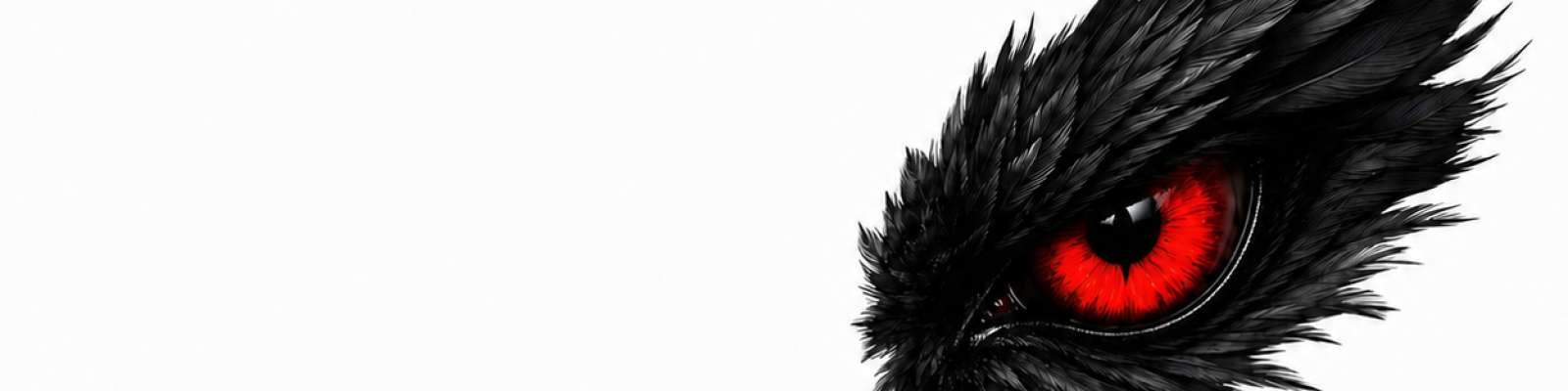 User Cover